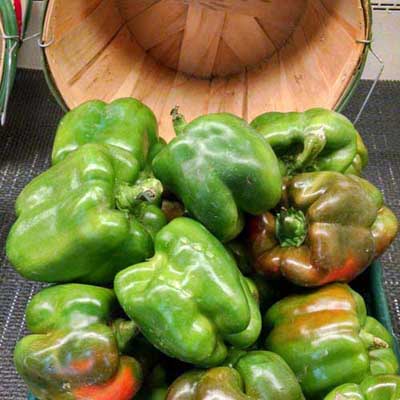 Matenaer's Produce Bell Peppers